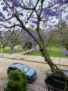 Apartamento com 1 Quarto à venda, 48m² no Menino Deus, Porto Alegre
