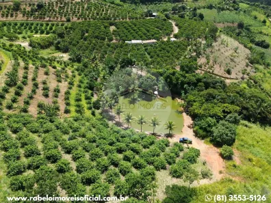 Fazenda/Sítio à venda, 81000m² no , Chã Grande