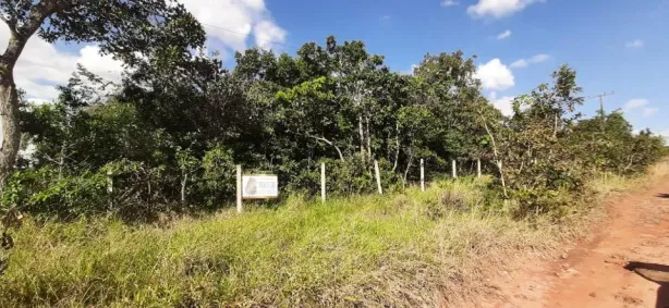 Fazenda/Sítio à venda, 5000m² no Chácara dos Poderes, Campo Grande
