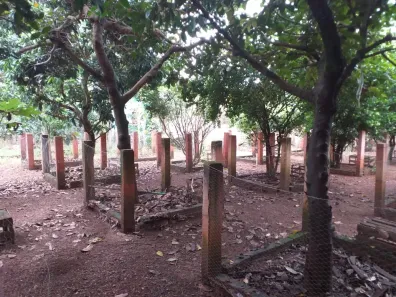 Casa de Condomínio com 3 Quartos à venda, 3080m² no Área Rural de Hidrolândia, Hidrolândia