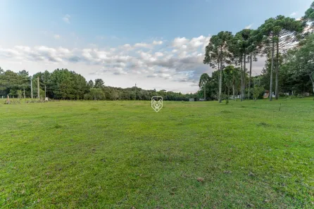 Lote/Terreno à venda, 85023m² no Roseira de São Sebastião, São José dos Pinhais