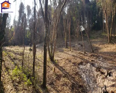 Lote/Terreno à venda, 1290m² no Curral, Ibiúna