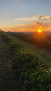 Fazenda/Sítio à venda, 242000m² no Mirante do Paraíso, Pouso Alegre