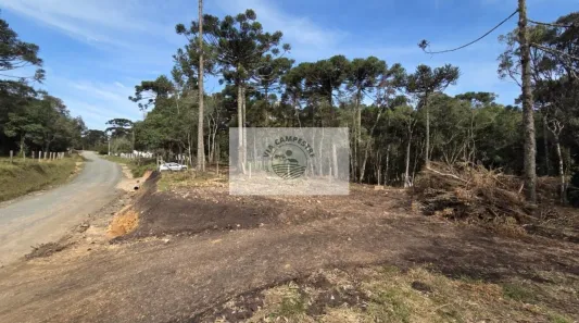 Fazenda/Sítio com 1 Quarto à venda, 2500m² no , Campo Alegre