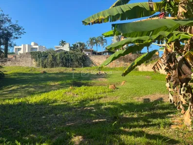 Lote/Terreno à venda, 537m² no Bairro das Palmeiras, Campinas
