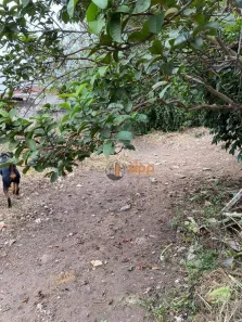 Lote/Terreno à venda, 690m² no Sítio do Mandaqui, São Paulo