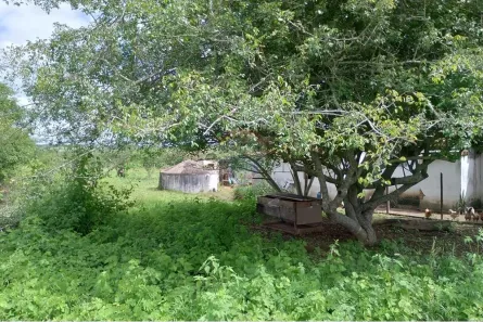 Fazenda/Sítio com 2 Quartos à venda, 20000m² no , Lajedo