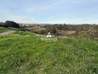 Fazenda/Sítio com 1 Quarto à venda, 20000m² no Bateias de Baixo, Campo Alegre