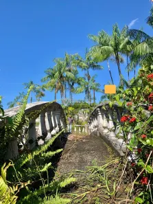 Lote/Terreno à venda, 8300m² no Levilândia, Ananindeua