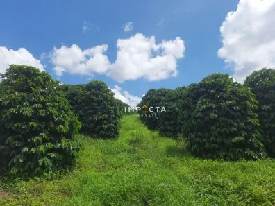 Fazenda/Sítio à venda, 66000m² no Mirante do Paraíso, Pouso Alegre
