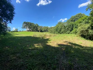 Fazenda/Sítio com 3 Quartos à venda, 27000m² no Balsa Nova, Balsa Nova