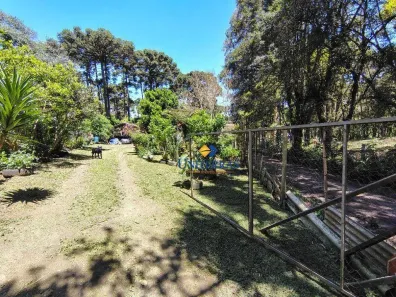 Fazenda/Sítio com 3 Quartos à venda, 80m² no Saltinho, Campina Grande do Sul