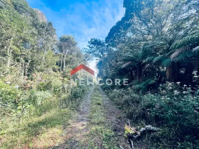 Lote/Terreno à venda, 750m² no Centro, São Francisco de Paula