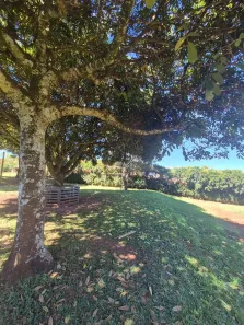 Fazenda/Sítio com 3 Quartos à venda, 120m² no Village do Sol, Franca