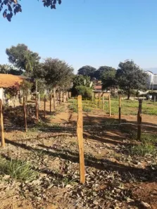 Lote/Terreno à venda, 299m² no Parque Shangri-lá, Pindamonhangaba