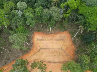 Lote/Terreno à venda, 20000m² no , Marechal Floriano