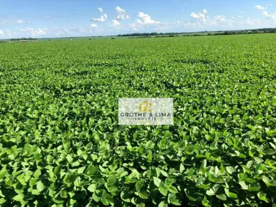 Fazenda/Sítio à venda, 900m² no , Montividiu