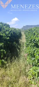 Fazenda/Sítio com 1 Quarto à venda, 24000m² no , Ibiraci
