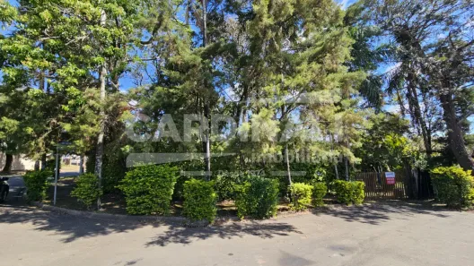 Lote/Terreno para alugar, 2266m² no Jardim Novo Horizonte, São Carlos