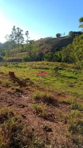 Fazenda/Sítio com 1 Quarto à venda, 8800m² no Área Rural de Viçosa, Viçosa