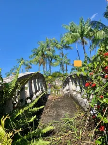Lote/Terreno à venda, 8300m² no Levilândia, Ananindeua