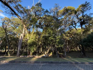 Lote/Terreno à venda, 450m² no Bairro do Moinho, Canela