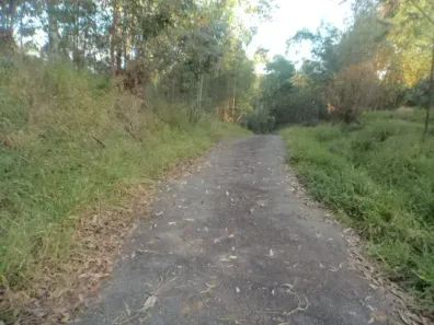 Fazenda/Sítio à venda, 26000m² no Zona Rural, Morungaba