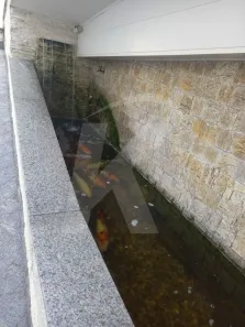 Sobrado com 4 Quartos à venda, 193m² no Vila Gustavo, São Paulo
