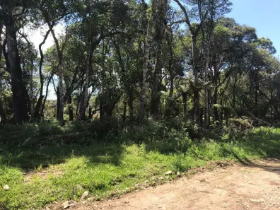 Lote/Terreno à venda, 838m² no Alpes Verdes, Canela