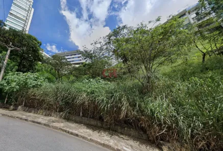Lote/Terreno à venda, 782m² no Santa Lúcia, Belo Horizonte