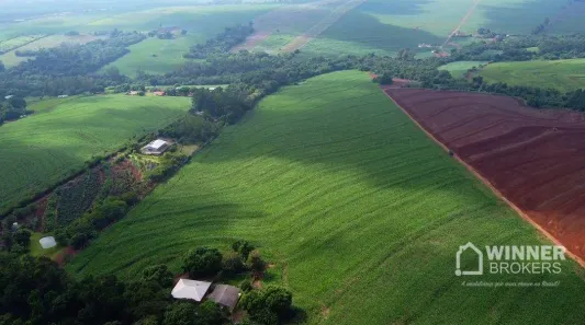 Fazenda/Sítio com 2 Quartos à venda, 300m² no Jardim São Domingos, Maringá