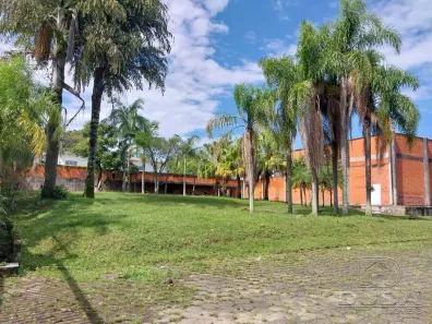 Lote/Terreno à venda, 20056m² no Pinheirinho, Criciúma