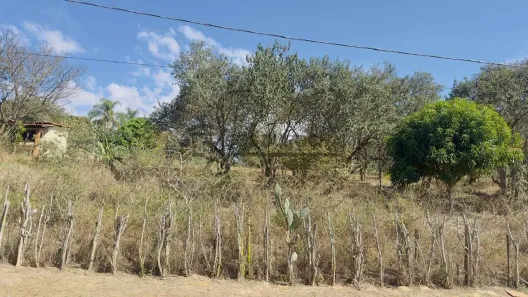 Lote/Terreno à venda, 5600m² no Chácara Maracajás, Salto