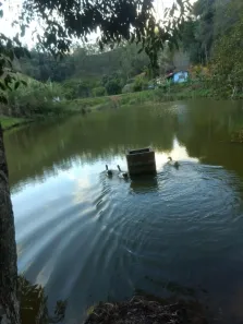 Fazenda/Sítio com 3 Quartos à venda, 300m² no Rio Claro, Paraibuna