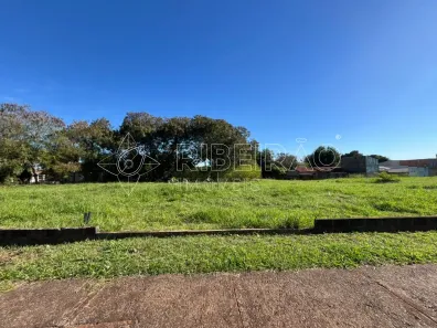 Lote/Terreno à venda, 434m² no Jardim Alvorada, Ribeirão Preto