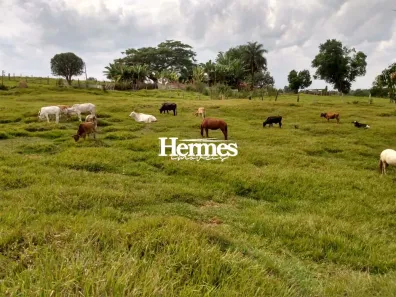 Fazenda/Sítio com 2 Quartos à venda, 210m² no Área Rural de Artur Nogueira, Artur Nogueira