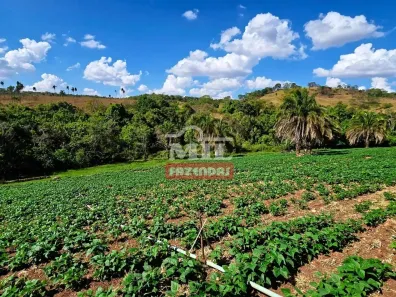 Fazenda/Sítio à venda, 500m² no , Leopoldo de Bulhões
