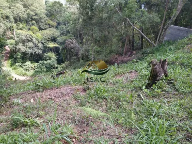 Lote/Terreno à venda, 256m² no Canjica (Terra Preta), Mairiporã