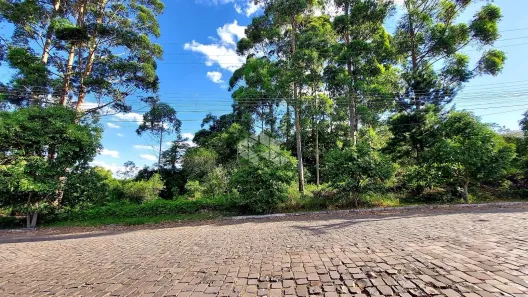Lote/Terreno à venda, 4740m² no Tamandaré, Garibaldi