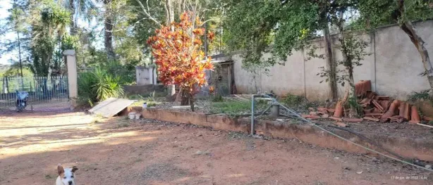 Fazenda/Sítio à venda, 6100m² no Recreio Tsuriba, Campinas