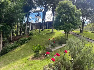 Fazenda/Sítio à venda, 9000m² no Borda do Campo, São José dos Pinhais
