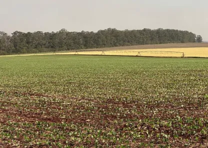 Fazenda/Sítio com 3 Quartos à venda, 150m² no , Bernardino de Campos