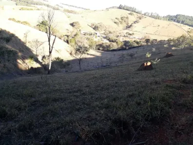 Lote/Terreno à venda, 169400m² no , Pinhalzinho
