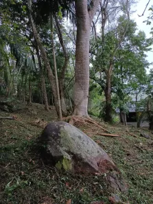 Lote/Terreno à venda, 1854m² no Praia do Siríu, Garopaba