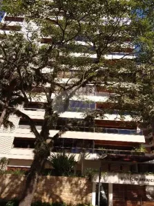 Apartamento com 4 Quartos à venda, 280m² no Cambuí, Campinas