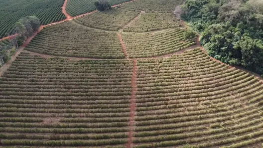 Fazenda/Sítio com 2 Quartos à venda, 266200m² no , São Sebastião do Paraíso