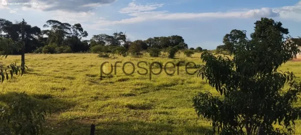 Fazenda/Sítio com 1 Quarto à venda, 54000m² no Vila Adelino Simões de Carvalho, Martinópolis