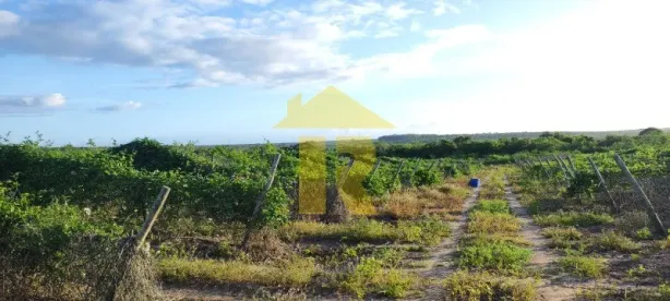 Lote/Terreno à venda, 170000m² no RURAL, Ceará-Mirim