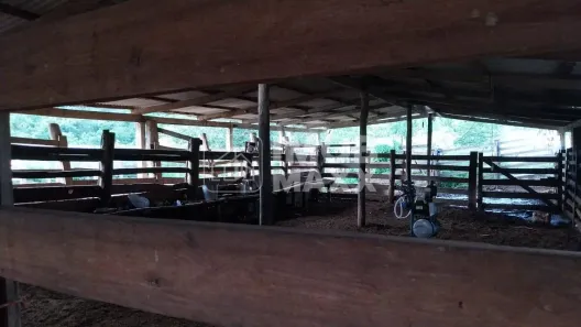 Fazenda/Sítio com 5 Quartos à venda, 200m² no Porto Real (Luzimangues), Porto Nacional