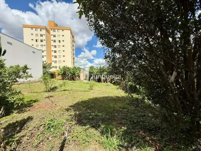 Lote/Terreno à venda, 490m² no Vila Monteiro, Piracicaba